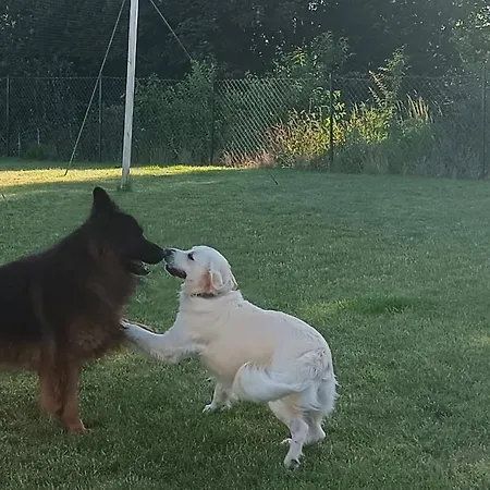 Tatil Evi R&r Letniskowe Mielno (Koszalin)