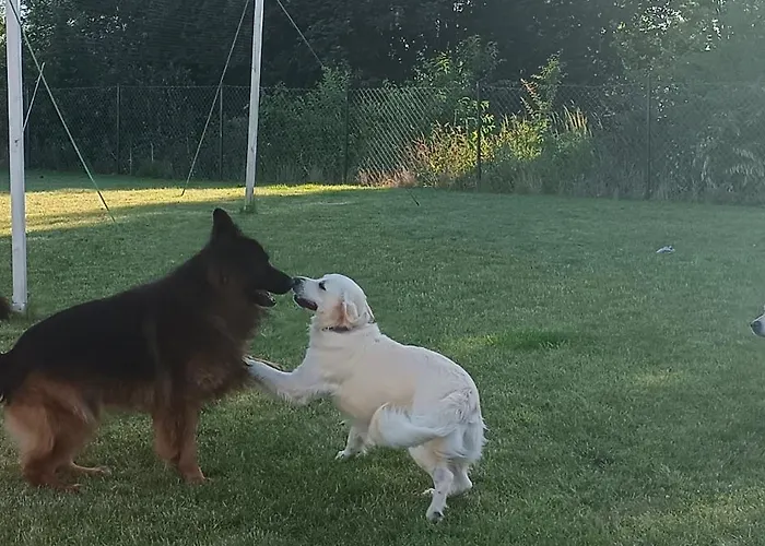 Дом отдыха R&r Letniskowe Мельно